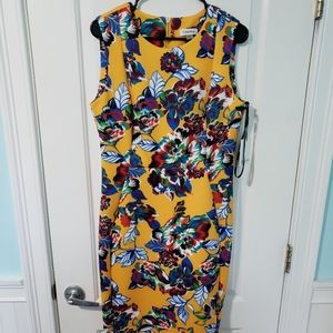 Calvin Klein Dress 12